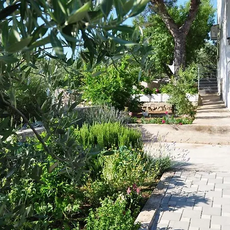 Apartamento Radoslava *