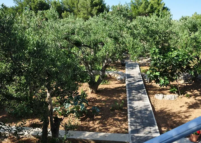 شقة Radoslava يزيرا